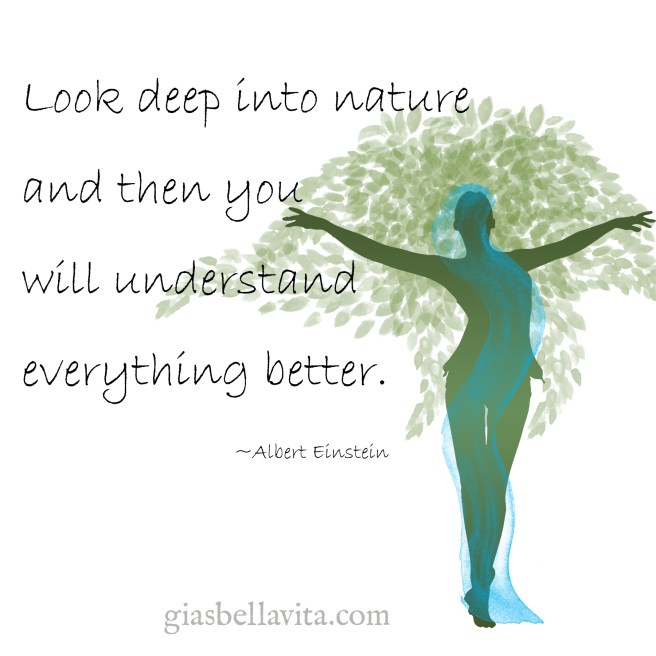 nature deep understanding